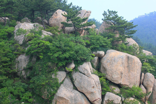 崂山风光