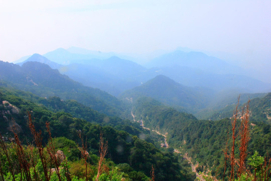 泰山风光