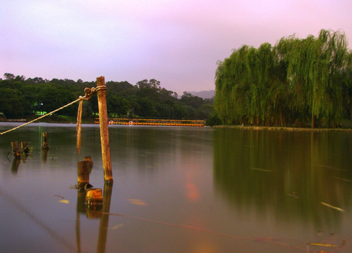 深圳市笔架山公园夜景