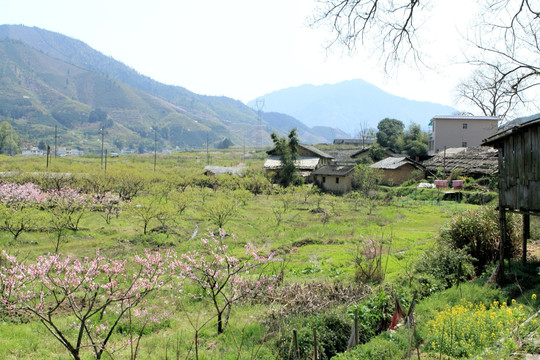 农村风光