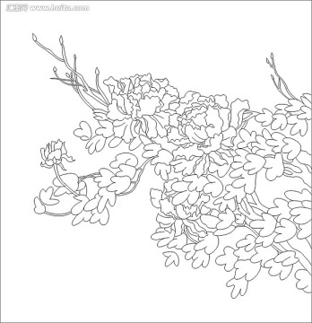 雕刻图线条图矢量图 水墨画 牡丹