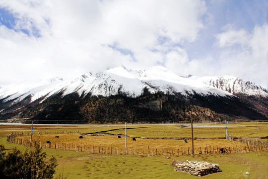 雪峰