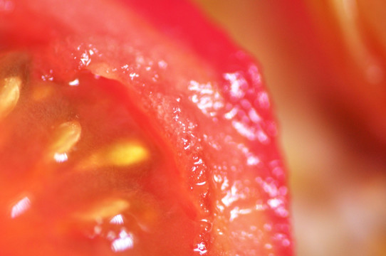 西红柿瓤微距特写