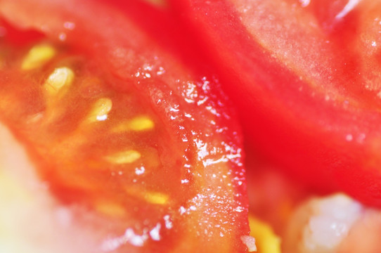 西红柿瓤特写
