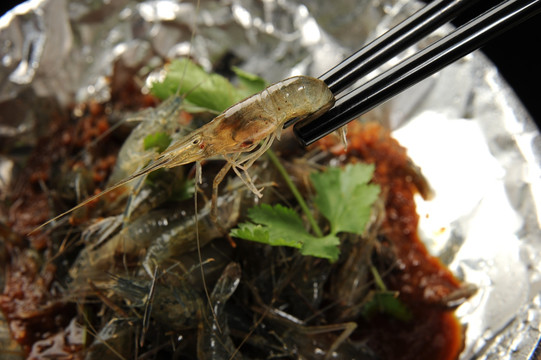 密制生炝虾