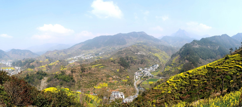 歙县油菜花梯田