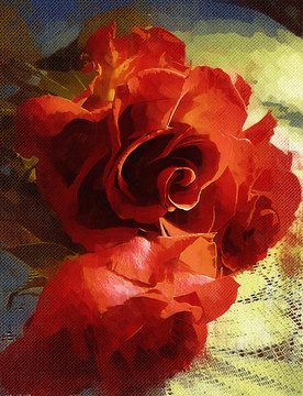 红玫瑰 装饰画