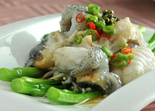 美味海参斑