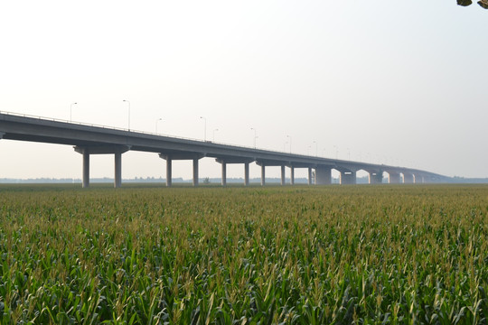东明黄河公路大桥