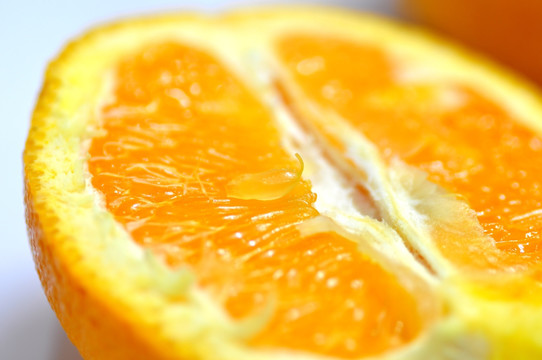 鲜橙果粒特写
