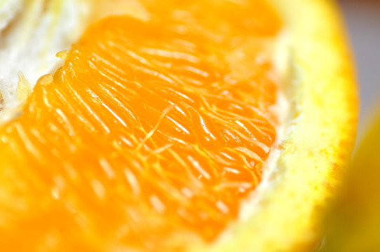 鲜橙果粒特写