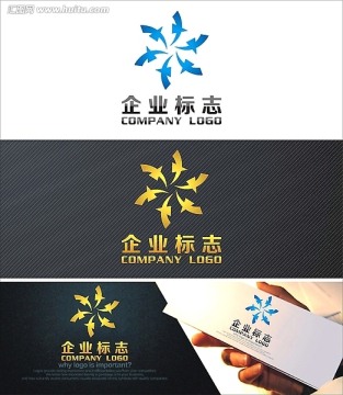 环形飞雁logo设计