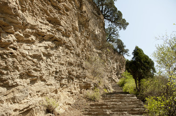 山路