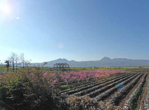 田园风光