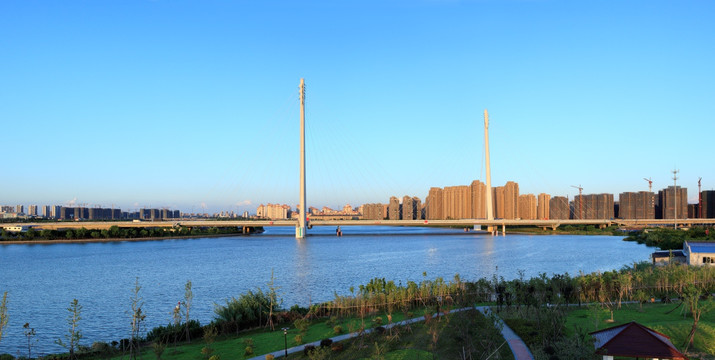 宁波青林湾大桥全景