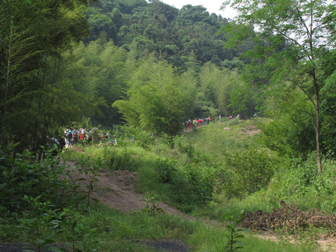 夏日山谷游客行