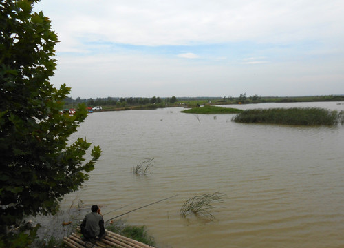 黄河湿地公园