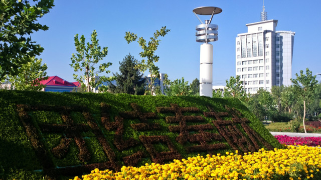 城市绿化