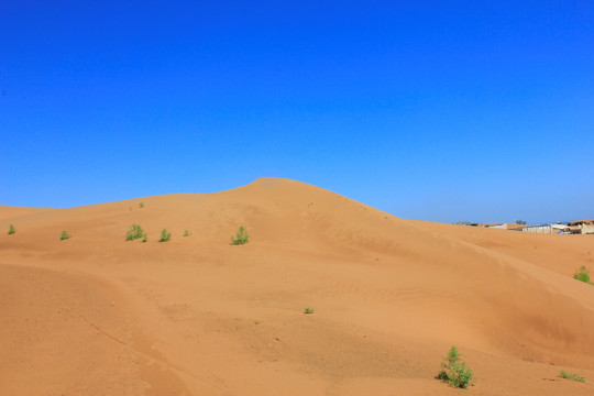 沙波头沙漠风光
