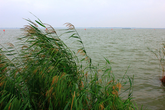 宁夏沙湖风光
