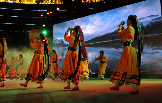 藏族 舞蹈 少数民族