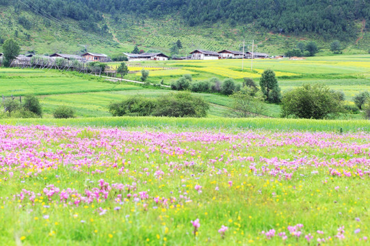 香格里拉