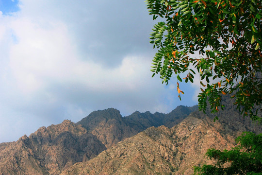 贺兰山风光