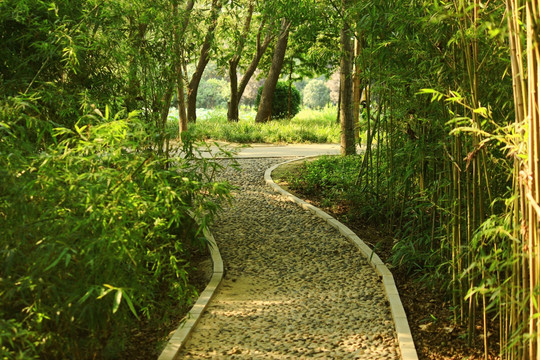 羊肠小路