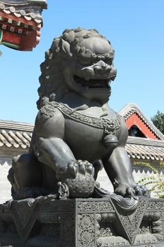 文昌院 石狮子