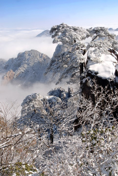 黄山云海雪景