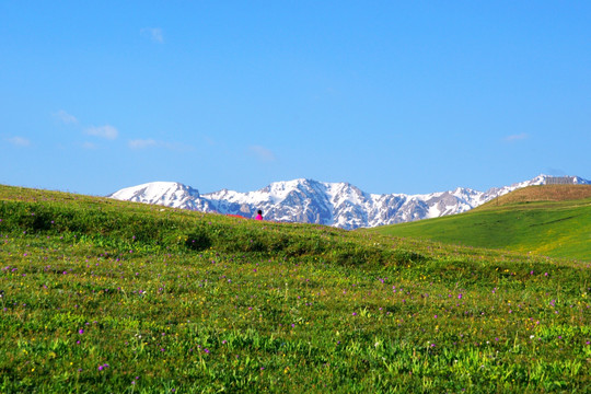 草地与雪山