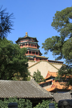 颐和园 佛香阁