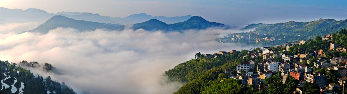 茗岙云海