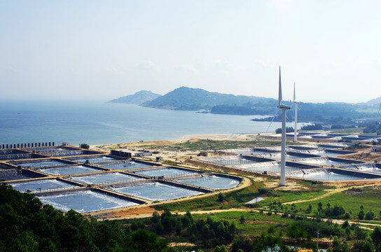 红海湾浪漫风车岛