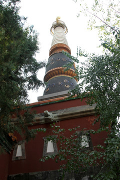 颐和园 喇嘛塔