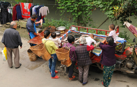 成都郊区小河边卖鱼