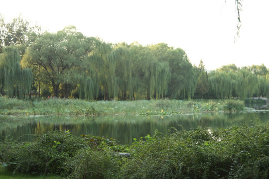 颐和园 耕织图景区