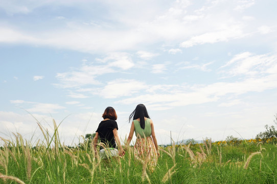 百万葵园 女孩