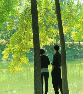 森林公园  河岸情侣