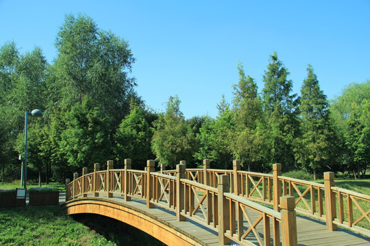 森林公园    木桥