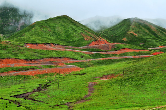 青海祁连山草甸盘山公路