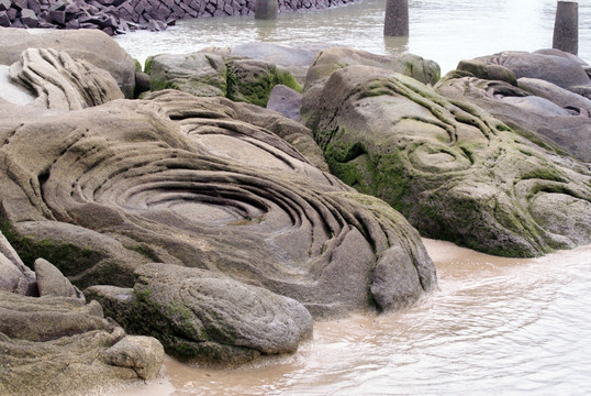 海边漩涡状石头