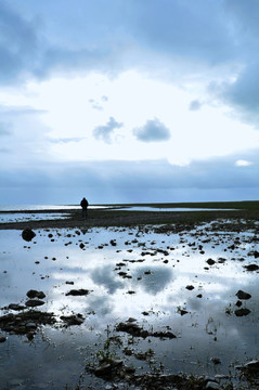 青海湖风光