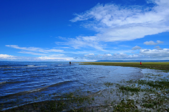 青海湖蓝色幻想