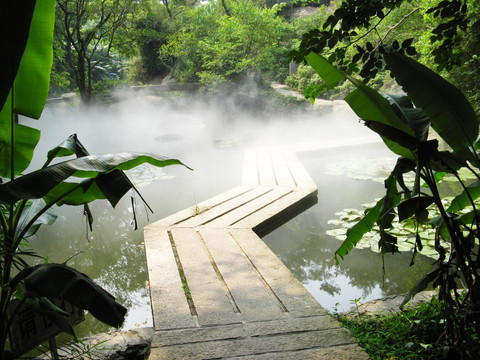 厦门植物园