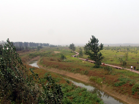 湿地小河