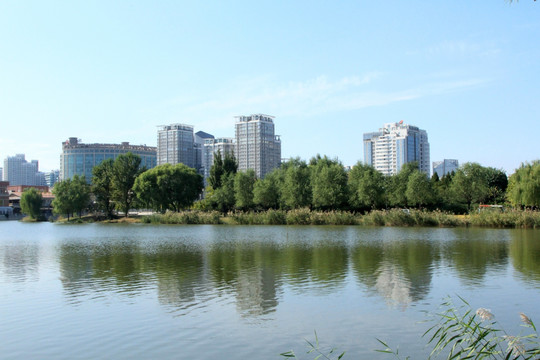 朝阳公园