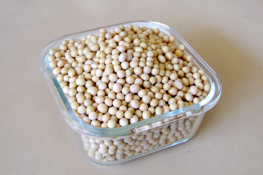 杂粮  黄豆