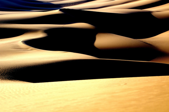 沙漠光影