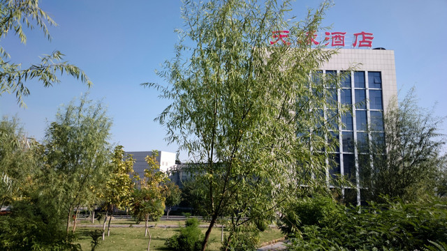 城市绿化